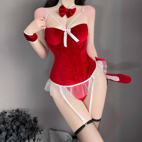 T-1156 Sexy bunny set